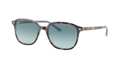 RAY-BAN Leonard 0RB2193