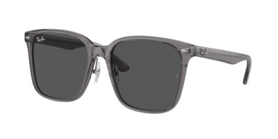 RAY-BAN 0RB2206D